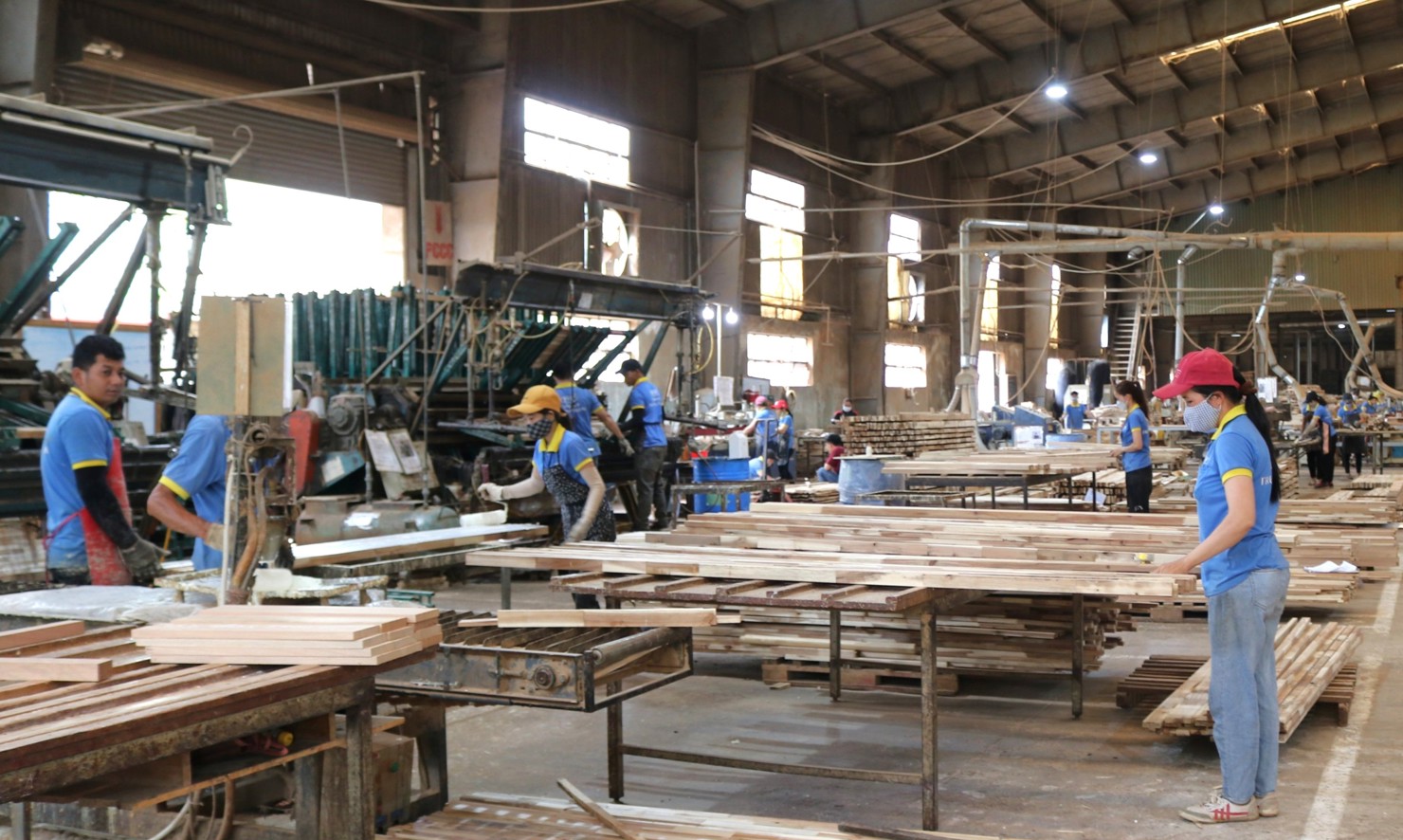 Doanh nghiệp ngành gỗ ở tỉnh Đắk Lắk