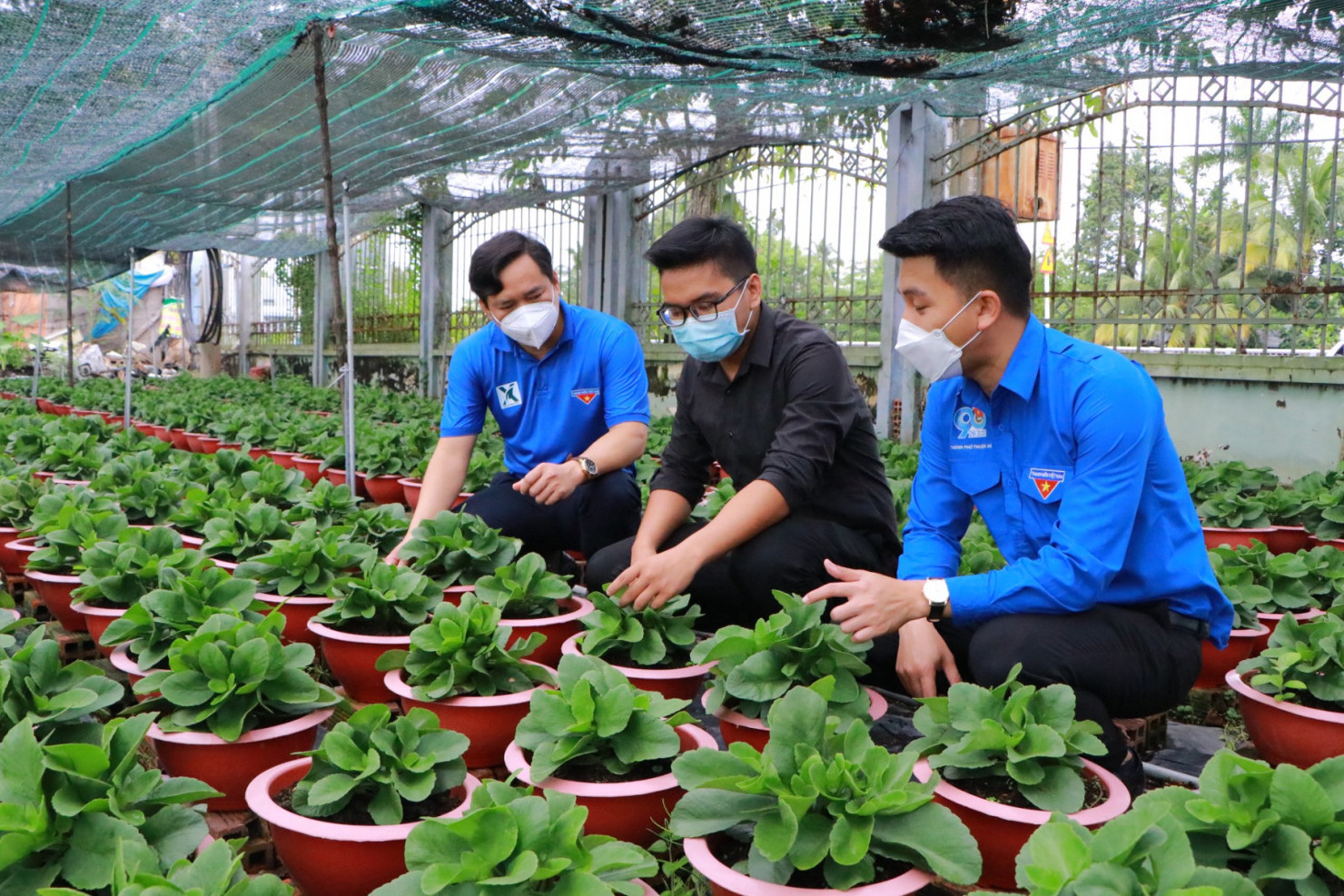 Mô hình trồng và kinh doanh các loại cây cảnh của thanh niên mang lại thu nhập ổn định.