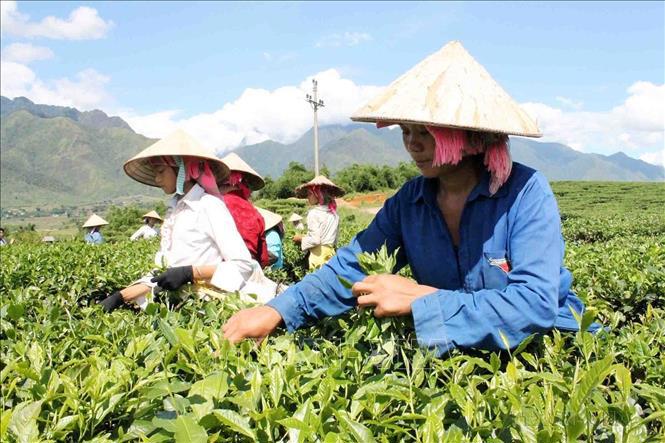 Chương trình mục tiêu quốc gia kq bongdaso còn chú trọng phát triển sinh kế và nâng cao chất lượng sống cho người dân.
