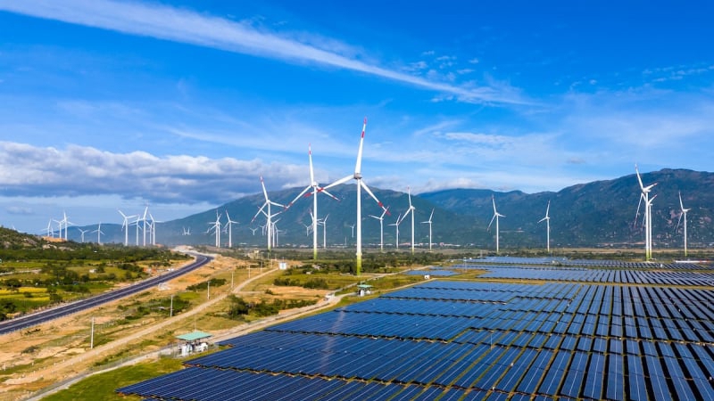 Việt Nam đặt mục tiêu Net Zero vào năm 2050. Ảnh: internet