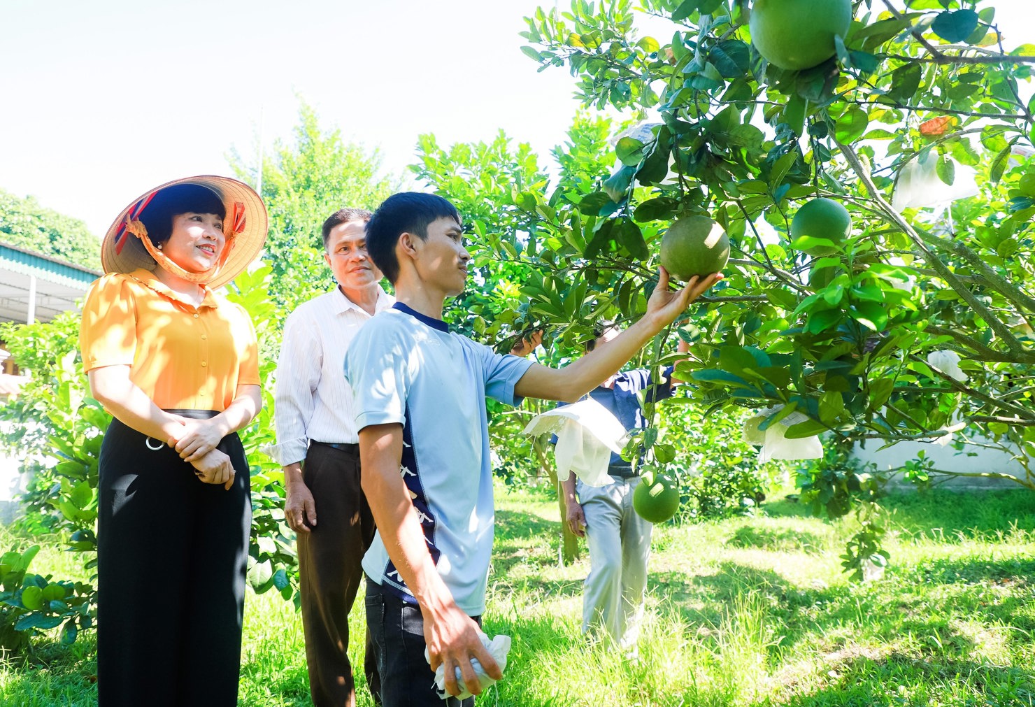 Mô hình vườn mẫu góp phần giảm nghèo.