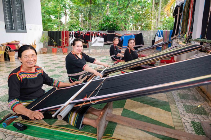 Trong lĩnh vực tài chính vi mô, dự án thành lập 31 tổ tương trợ vốn và nhóm sản xuất, với 366 thành viên.