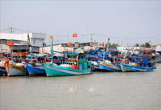 Các tàu cá cần chấp hành nghiêm quy định, chống khai thác bất hợp pháp