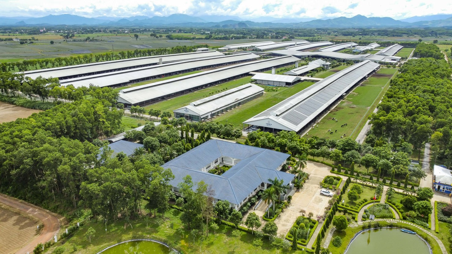 Vinamilk được Brand Finance vinh danh là thương hiệu sữa tiềm năng nhất thế giới