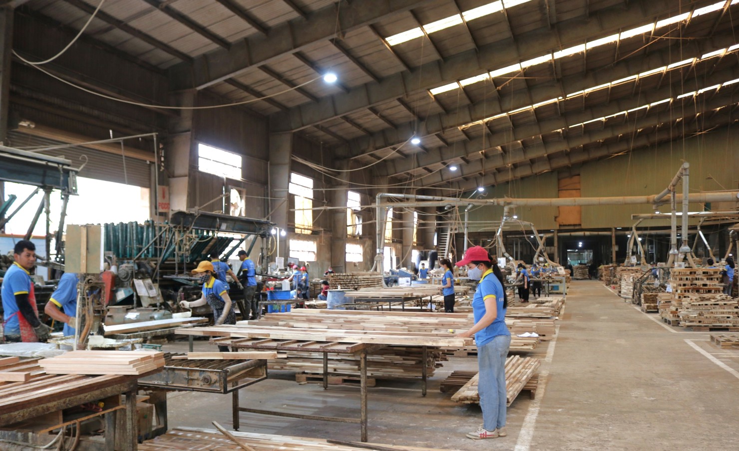 Một doanh nghiệp đang hoạt động trên địa bàn tỉnh Đắk Lắk. Ảnh: Phạm Thọ