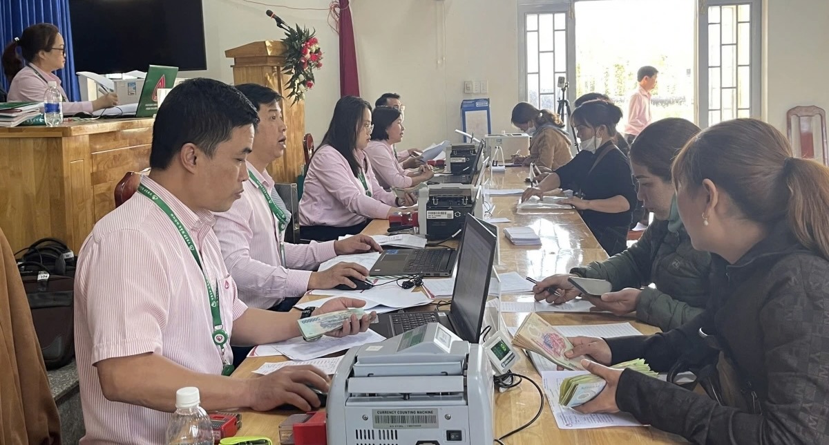 Phòng Giao dịch Ngân hàng chính sách xã hội Chi nhành Đắk Nông đối chiếu, phân loại nợ. Ảnh: Đức Long