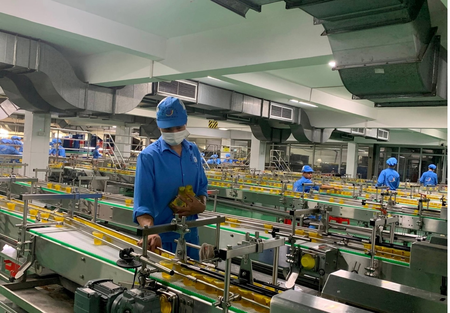 Hoạt động sản xuất của Công ty TNHH Long Hải (phường Thạch Khôi).