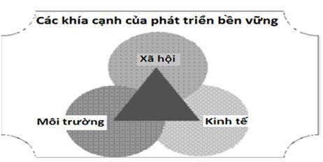 Phát triển bền vững trong chuỗi cung ứng tại Việt Nam trong giai đoạn COVID-19 - Ảnh 4