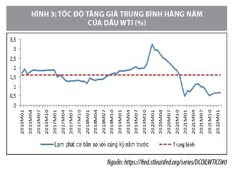 Áp lực lạm phát trong năm 2022 tại Việt Nam  - Ảnh 3