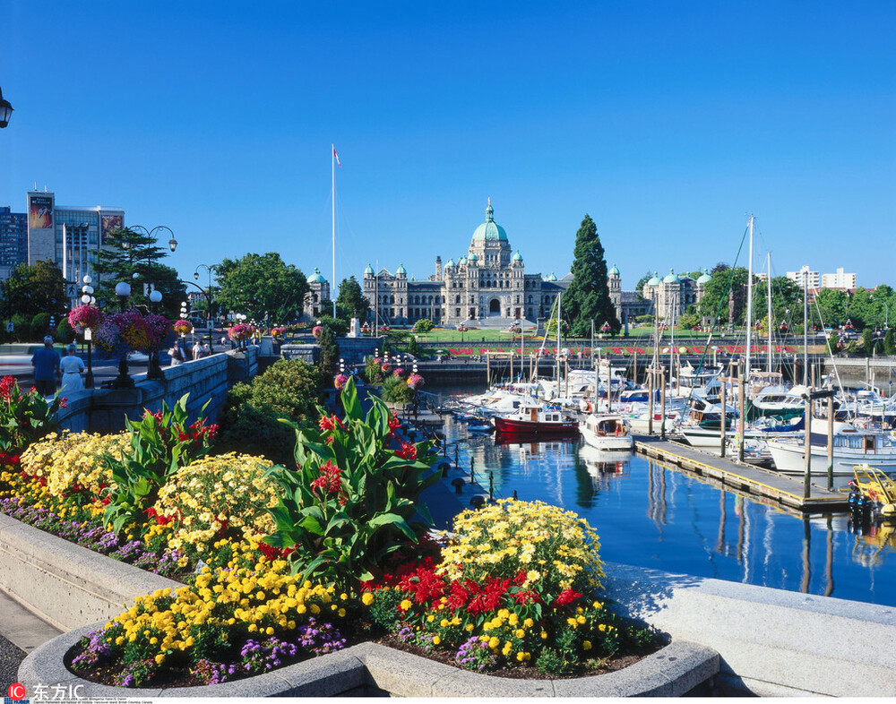 Nh&agrave; Quốc hội v&agrave; bến cảng Victoria ở Vancouver, Canada. Ảnh IC