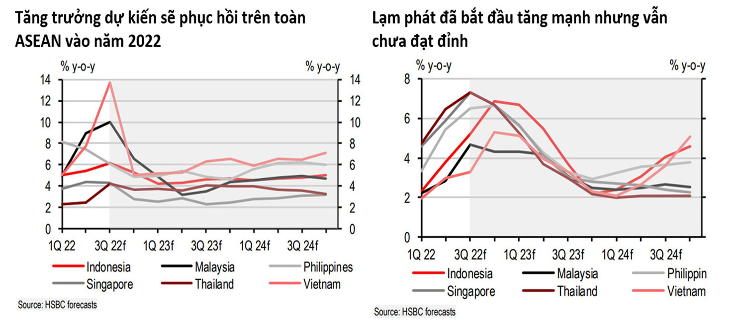 HSBC: Việt Nam trong nhóm dẫn đầu về củng cố tài khóa năm 2023 - Ảnh 5