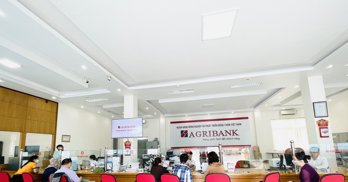 Ngành ngân hàng tỉnh Thái Bình triển khai hiệu quả chính sách tín dụng đối với chương trình phục hồi và phát triển kinh tế-xã hội trên địa bàn.