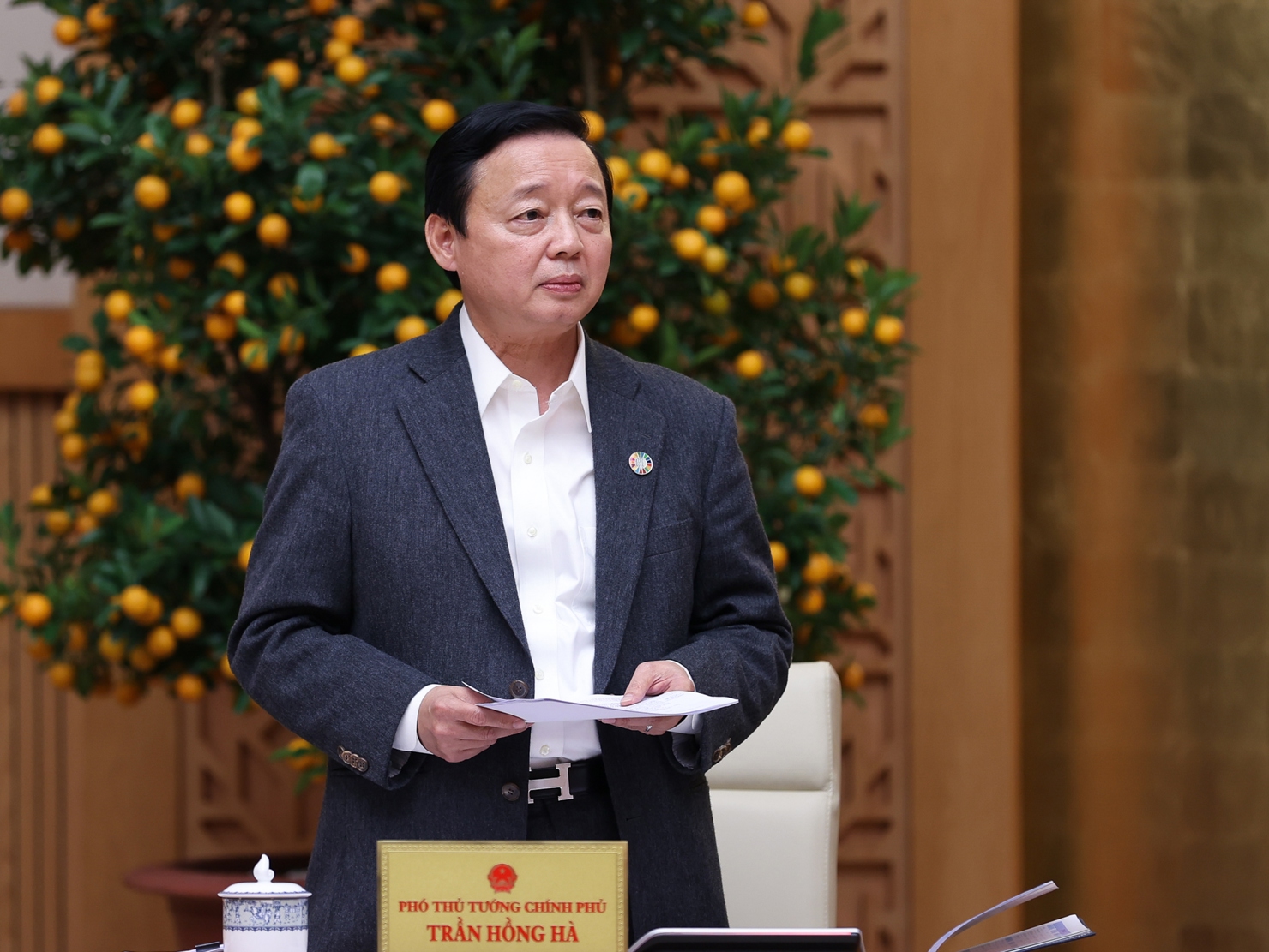 Ph&oacute; Thủ tướng Trần Hồng H&agrave; ph&aacute;t biểu tại cuộc họp. Ảnh: VGP/Nhật Bắc