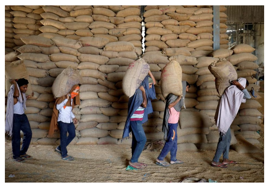 Tháng 5/2022, Chính phủ Ấn Độ ban hành lệnh dừng xuất khẩu lúa mì nhằm bảo đảm an ninh lương thực trong nước.