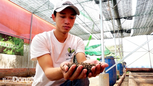 Mô hình tuần hoàn nông nghiệp nuôi ruồi cánh đen tại Đồng Nai. Ảnh: Báo Đồng Nai.