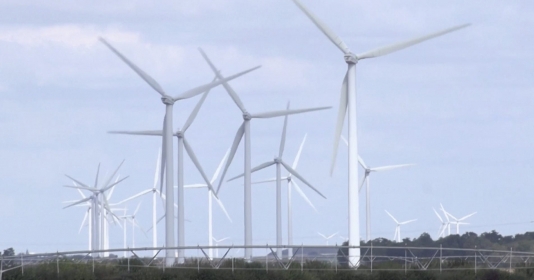 Một cánh đồng điện gió ở Hà Lan. Ảnh Mariana Castelo Branco