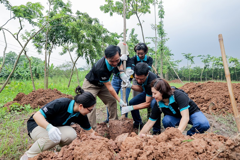 Nhân viên JTI Việt Nam góp sức vun đất cho 100 gốc cây Bàng Đài Loan tại xã Cát Quế, huyện Hoài Đức, Hà Nội.