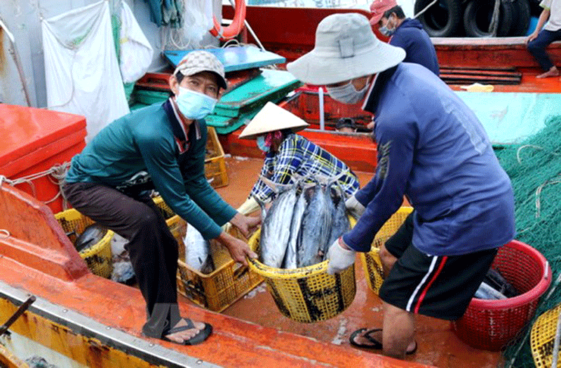 Hơn 1 th&aacute;ng nữa, Việt Nam sẽ đ&oacute;n đo&agrave;n của EC lần thứ tư đến thanh tra, kiểm tra c&ocirc;ng t&aacute;c chống khai th&aacute;c IUU tại Việt Nam.