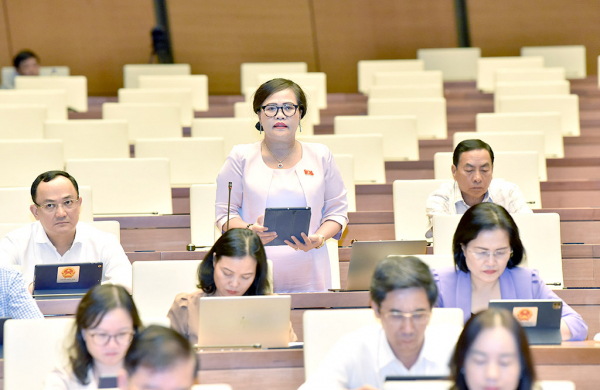 ĐBQH Nguyễn Thị Sửu (Thừa Thiên Huế) phát biểu tại hội nghị. Ảnh: Lâm Hiển 