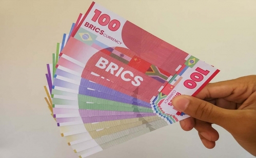 Brazil đã kêu gọi các quốc gia BRICS tạo ra một loại tiền tệ chung như một phương tiện để giảm bớt rủi ro trước những biến động tỷ giá hối đoái của đồng USD.