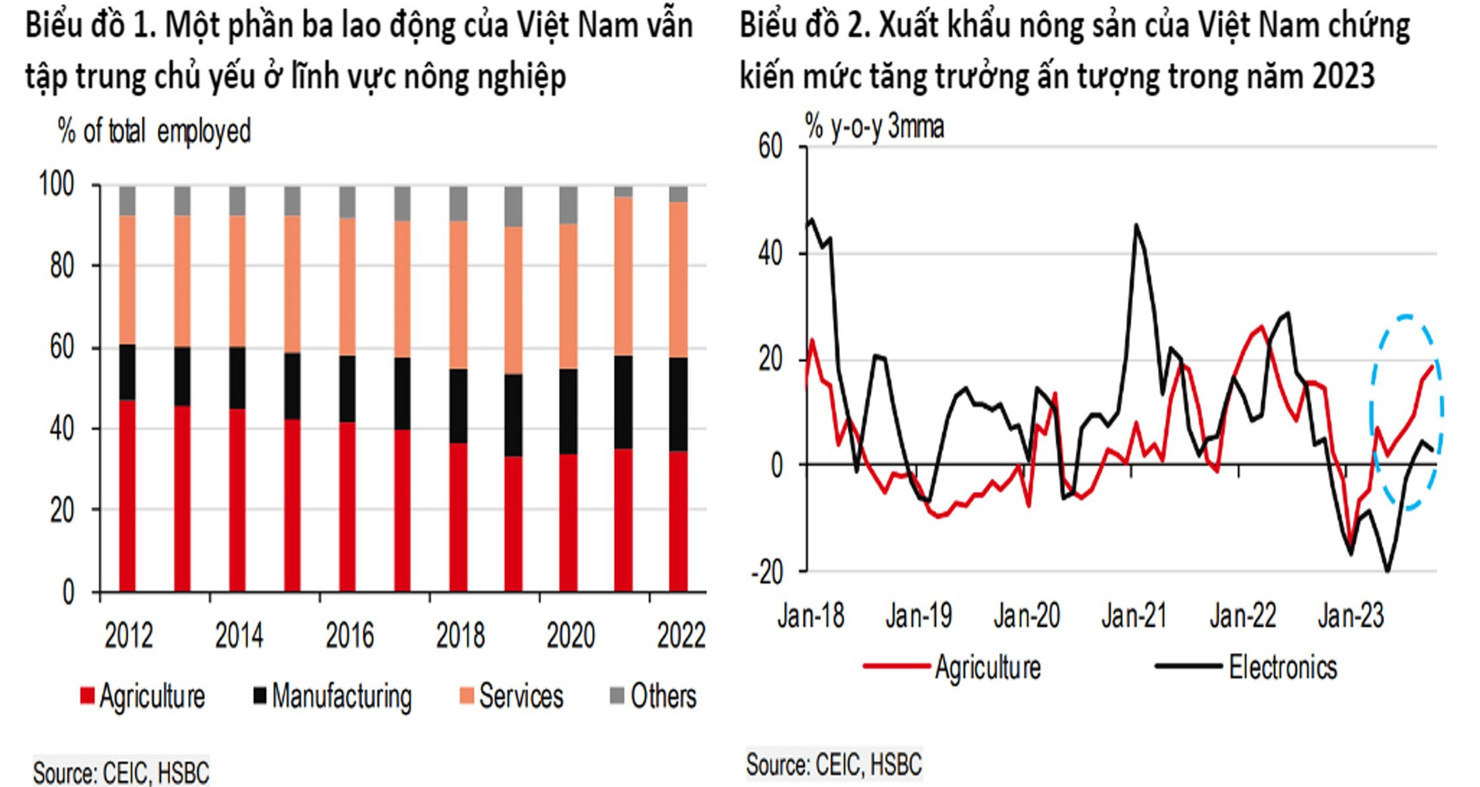 HSBC: Việt Nam dần thoát khỏi suy thoái thương mại toàn cầu - Ảnh 2