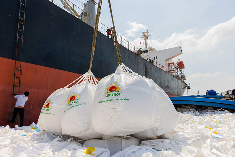 Hoạt động xuất khẩu gạo Công ty Cổ phần Tập đoàn Lộc Trời. Ảnh: Hạnh Châu
