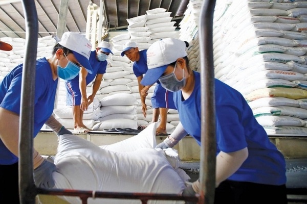 Giá gạo Việt đứng yên hơn 1 tuần qua.