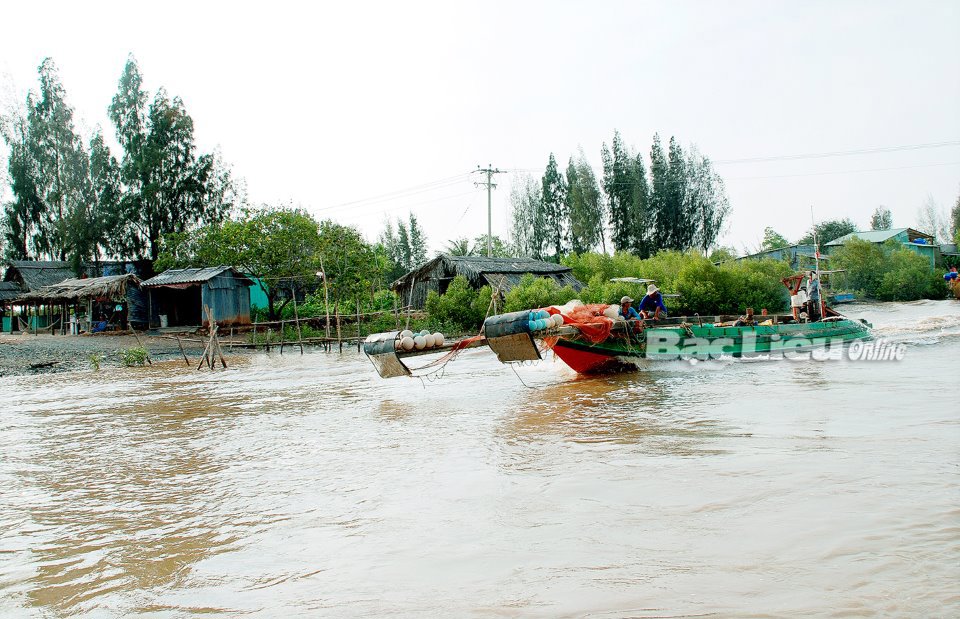 Phương tiện h&agrave;nh nghề te của ngư d&acirc;n ven biển g&acirc;y hủy diệt nguồn lợi thủy sản.