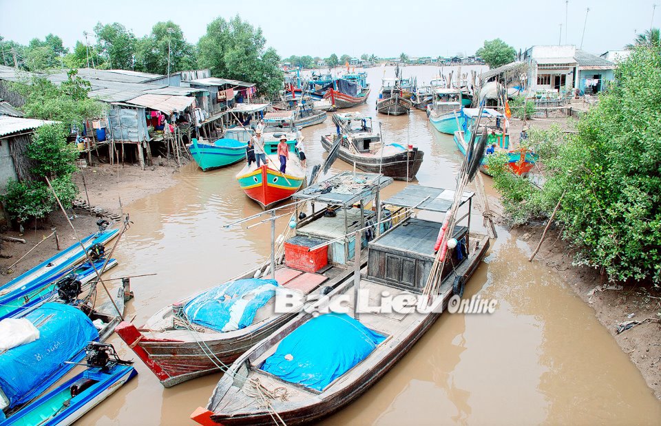 Phần lớn phương tiện khai th&aacute;c thủy sản của tỉnh đều khai th&aacute;c gần bờ n&ecirc;n hiệu quả kinh tế mang lại kh&ocirc;ng cao. Ảnh: L.D