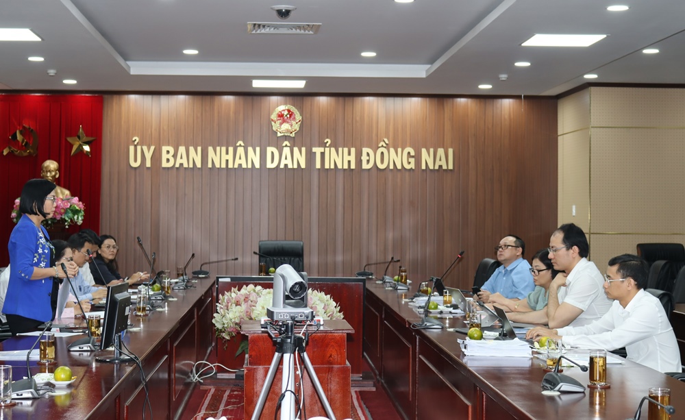 Phó chủ tịch UBND tỉnh Nguyễn Thị Hoàng nêu ý kiến tại buổi làm việc