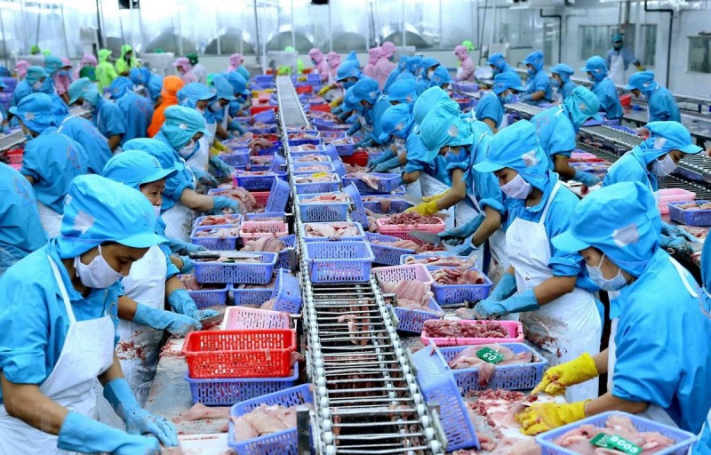 Thuỷ sản là một trong những mặt hàng xuất khẩu chủ lực từ Việt Nam sang Nhật Bản.