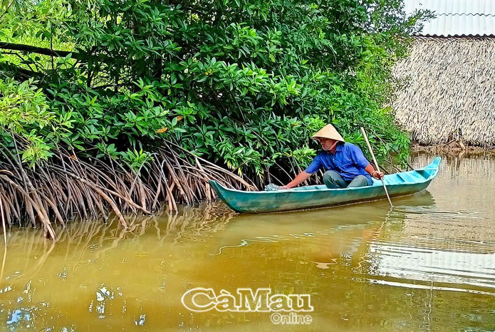 &Ocirc;ng Tr&iacute; kiểm tra nguồn nước trong vu&ocirc;ng t&ocirc;m. Ảnh: Trần Quốc Khải