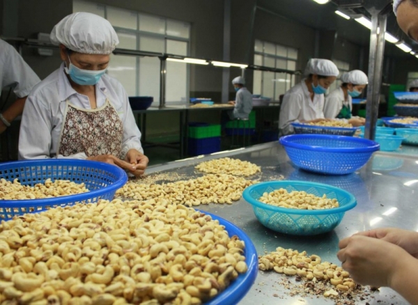 Một số mặt hàng nông sản của Việt Nam như hạt điều, hạt tiêu, cà phê… đang có chỗ đứng nhất định tại thị trường Hungary.