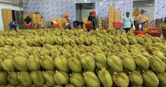 Các chuyên gia kinh tế nhận định tăng trưởng nghiệp cụ thể là nông sản được coi là "bệ đỡ" của nền kinh tế năm 2023. Ảnh: Kim Ngọc