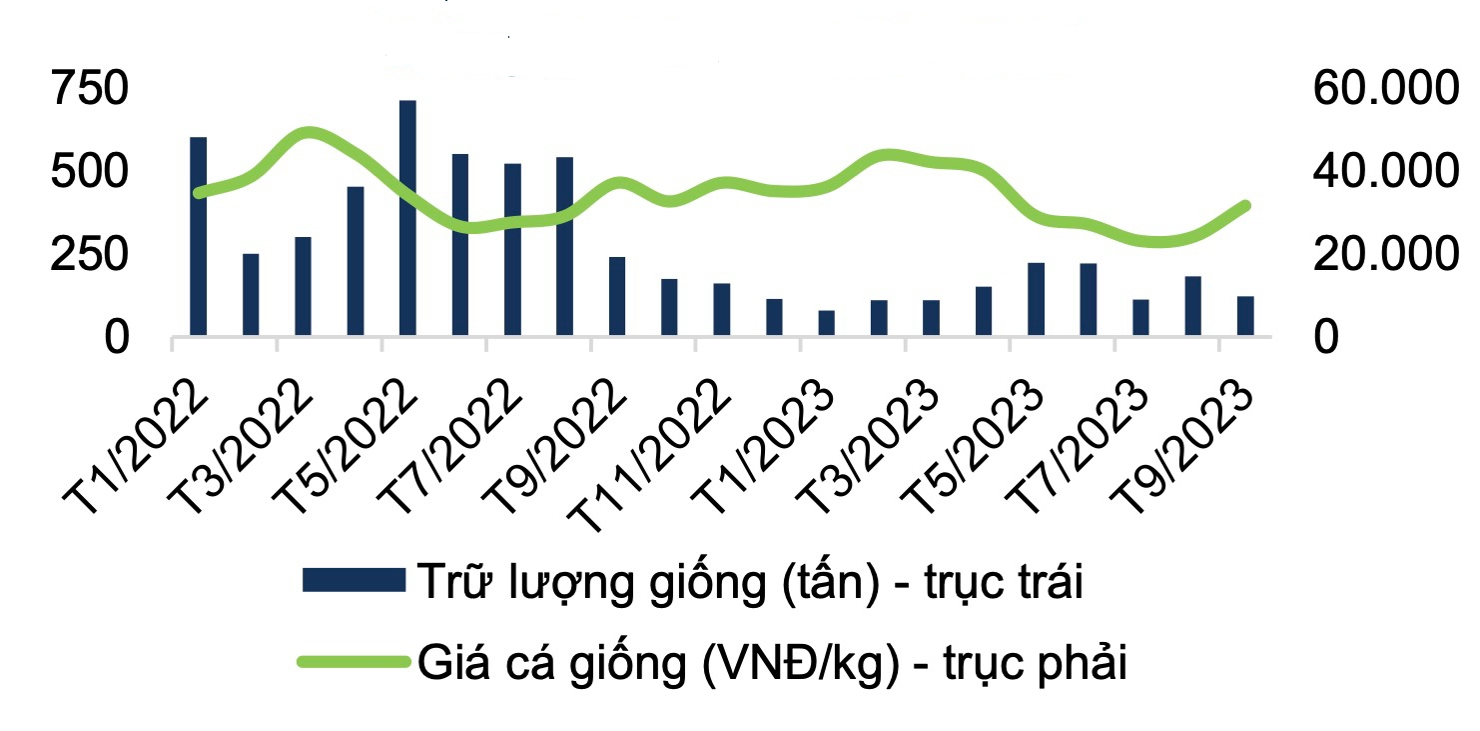 Trữ lượng và giá cá gi&ocirc;́ng tại đồng bằng s&ocirc;ng Cửu Long theo tháng giai đoạn 2022 - 2023. (Nguồn: FPTS)