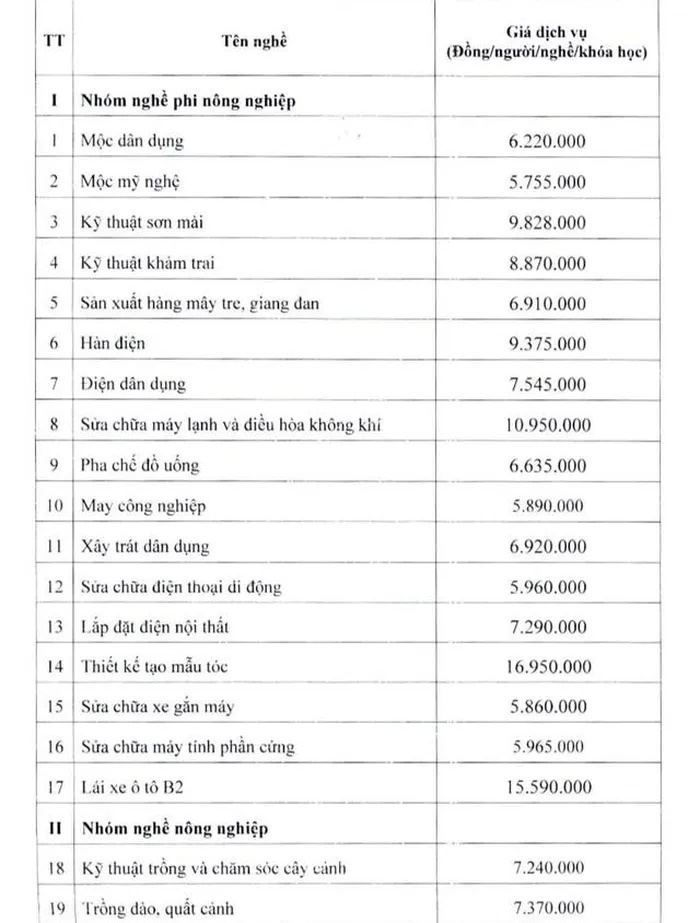 Học phí đào tạo giấy phép lái xe ô tô tăng cao, hạng B2 lên mức 15,59 triệu đồng - Ảnh 1