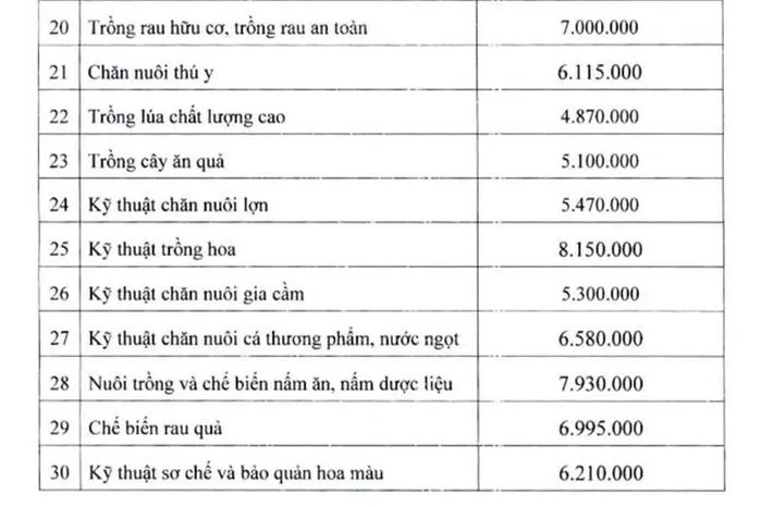 Học phí đào tạo giấy phép lái xe ô tô tăng cao, hạng B2 lên mức 15,59 triệu đồng - Ảnh 2