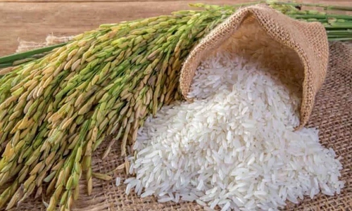 Nhãn hiệu chứng nhận Gạo Việt Nam đã được bảo hộ trong nước và tại một số nước, nhưng cho đến nay chưa được cấp cho bất cứ doanh nghiệp nào sử dụng