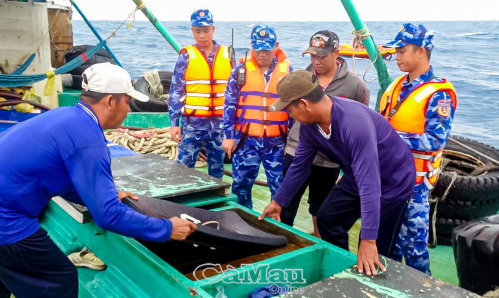 Lực lượng chức năng Cảnh sát biển kiểm tra hàng hoá tàu vi phạm. Ảnh: Đình Ngà