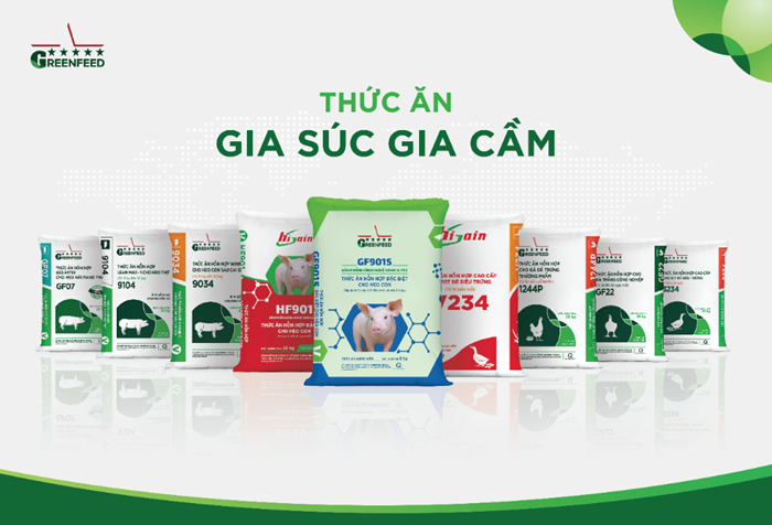 Thức ăn chăn nuôi chất lượng của GREENFEED được sản xuất trên dây chuyền đạt tiêu chuẩn quốc tế, tối ưu dinh dưỡng, đa dạng, phù hợp từng giai đoạn vật nuôi.