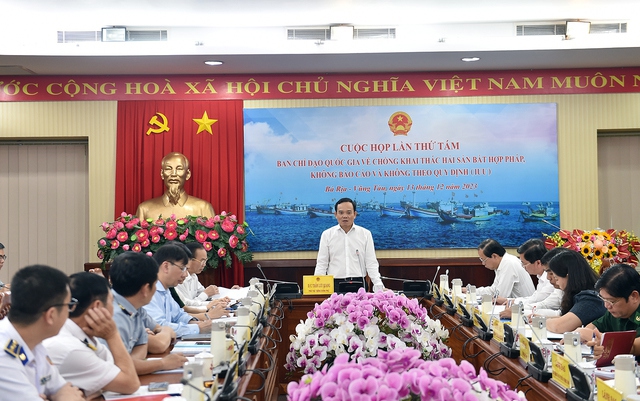 Ph&oacute; Thủ tướng Ch&iacute;nh phủ Trần Lưu Quang nhấn mạnh từ nay đến ng&agrave;y 30/4/2024 l&agrave; thời điểm "v&agrave;ng" để gỡ được thẻ v&agrave;ng sớm nhất - Ảnh: VGP/Hải Minh