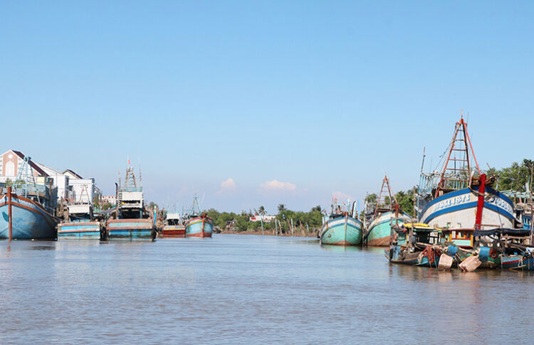 Tàu đánh bắt hải sản neo đậu chờ ra khơi tại huyện Bình Đại, tỉnh Bến Tre. Ảnh: Thạch Thảo