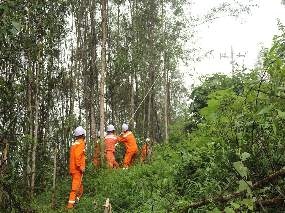 C&ocirc;ng ty Điện lực Nghệ An đ&atilde; triển khai c&aacute;c phương &aacute;n diễn tập ph&ograve;ng chống thi&ecirc;n tai v&agrave; t&igrave;m kiếm cứu nạn cho c&aacute;c đơn vị trực thuộc.