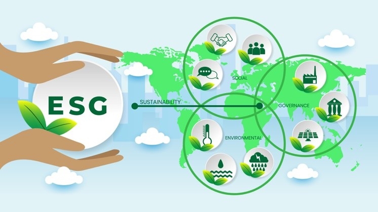 Ảnh minh họa. Nguồn: Internet