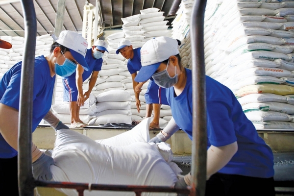 Xuất khẩu gạo năm 2023 của Việt Nam bội thu cả về lượng và giá.