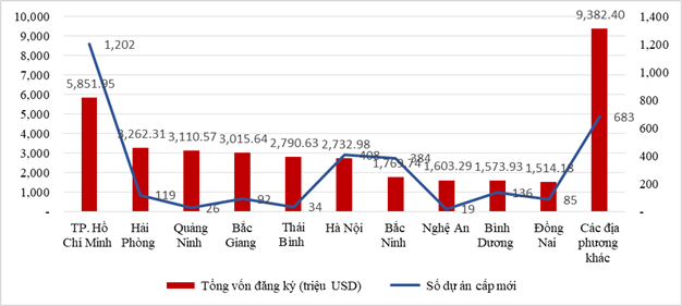 Cơ cấu đầu tư nước ngo&agrave;i ph&acirc;n theo địa phương