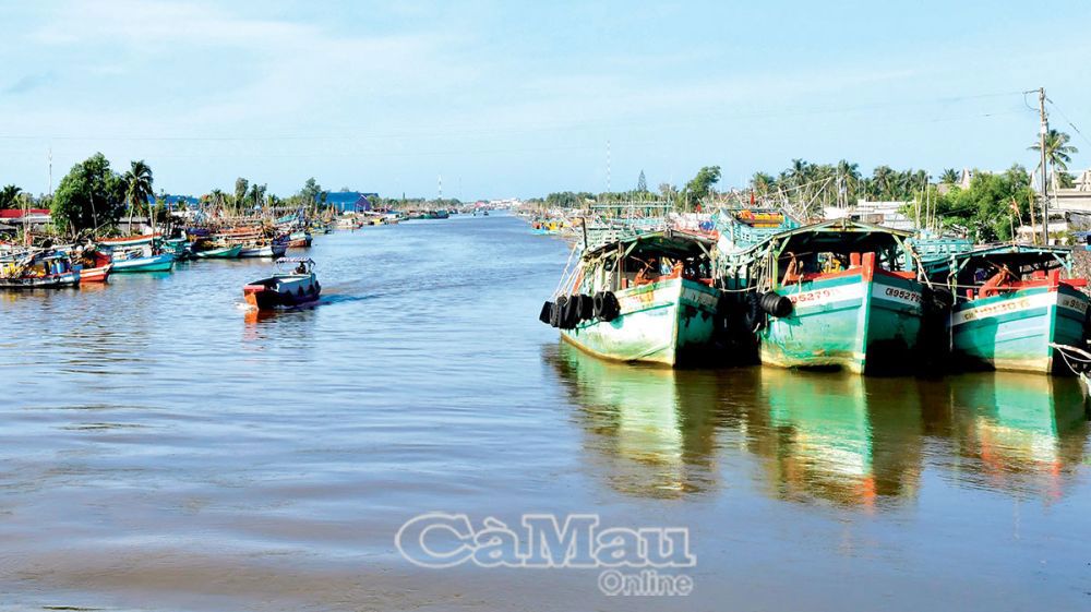 Tàu khai thác công suất lớn thuộc khu vực cửa biển Khánh Hội phải vào cảng chỉ định tại Sông Ðốc để bốc dỡ hàng hoá là điều rất bất cập hiện nay. Ảnh: Trần Nguyên