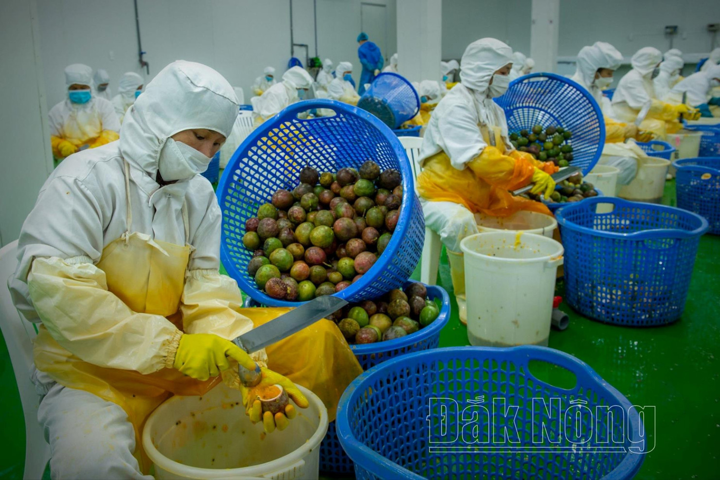 Đắk Nông tập trung thúc đẩy sản xuất, kinh doanh cho người dân, doanh nghiệp. Ảnh: PV