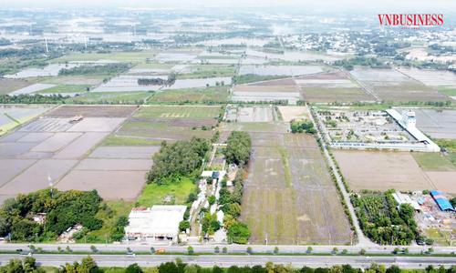 Chuyên gia khuyên nhà đầu tư nhà đất cần tính toán kỹ, tránh càng gồng càng lỗ sâu. 