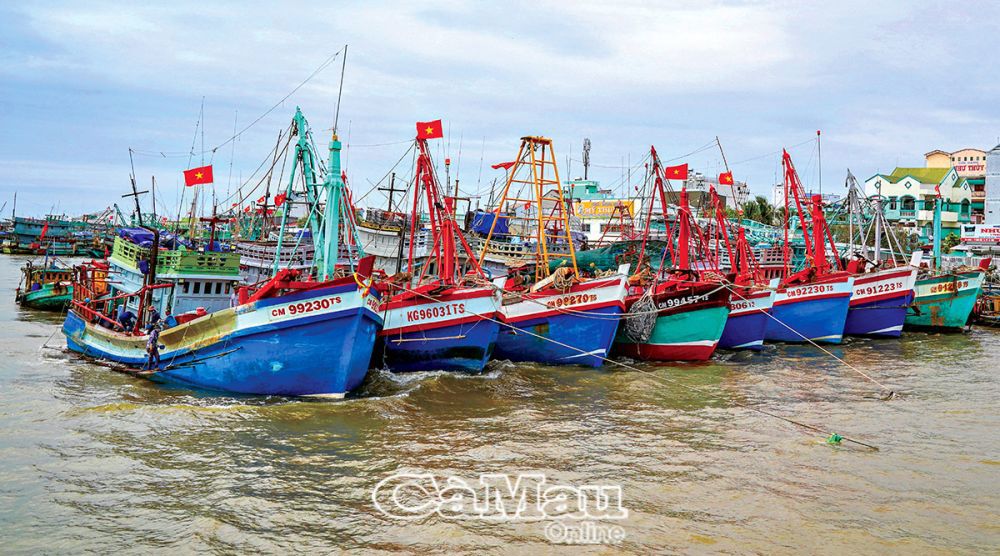 Tàu về cửa biển Sông Ðốc, huyện Trần Văn Thời. Ảnh: Huỳnh Lâm